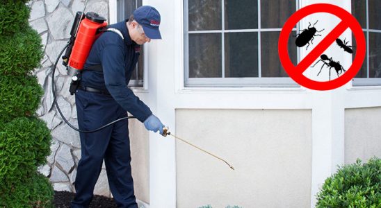 Sarayköy Bit İlaçlama böcek ilaçlama ve haşere kontrolü — ilaclama-tr.com